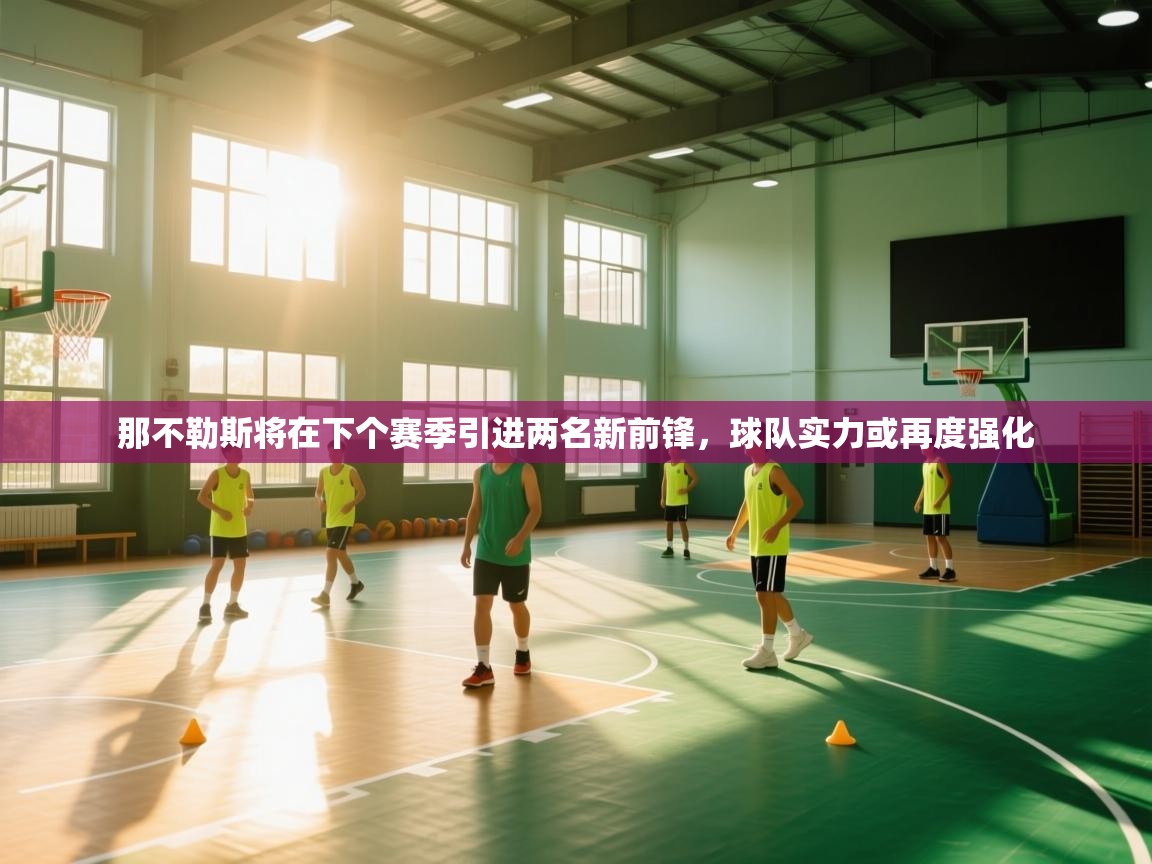 爱游戏真人体育娱乐-那不勒斯将在下个赛季引进两名新前锋,球队实力或再度强化  第1张