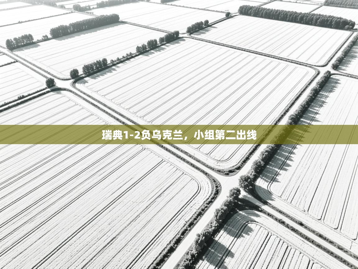 爱游戏下载-瑞典1-2负乌克兰,小组第二出线  第2张