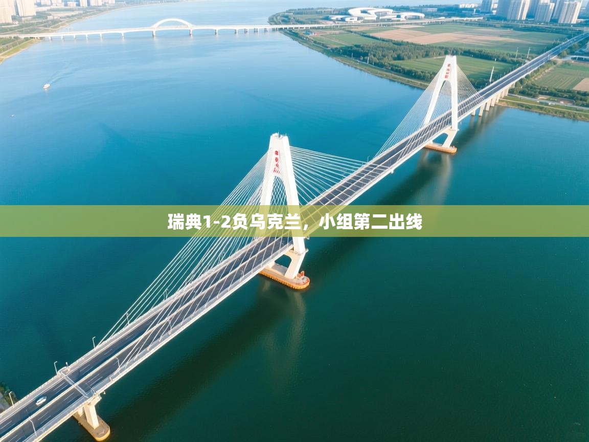 爱游戏下载-瑞典1-2负乌克兰,小组第二出线  第3张