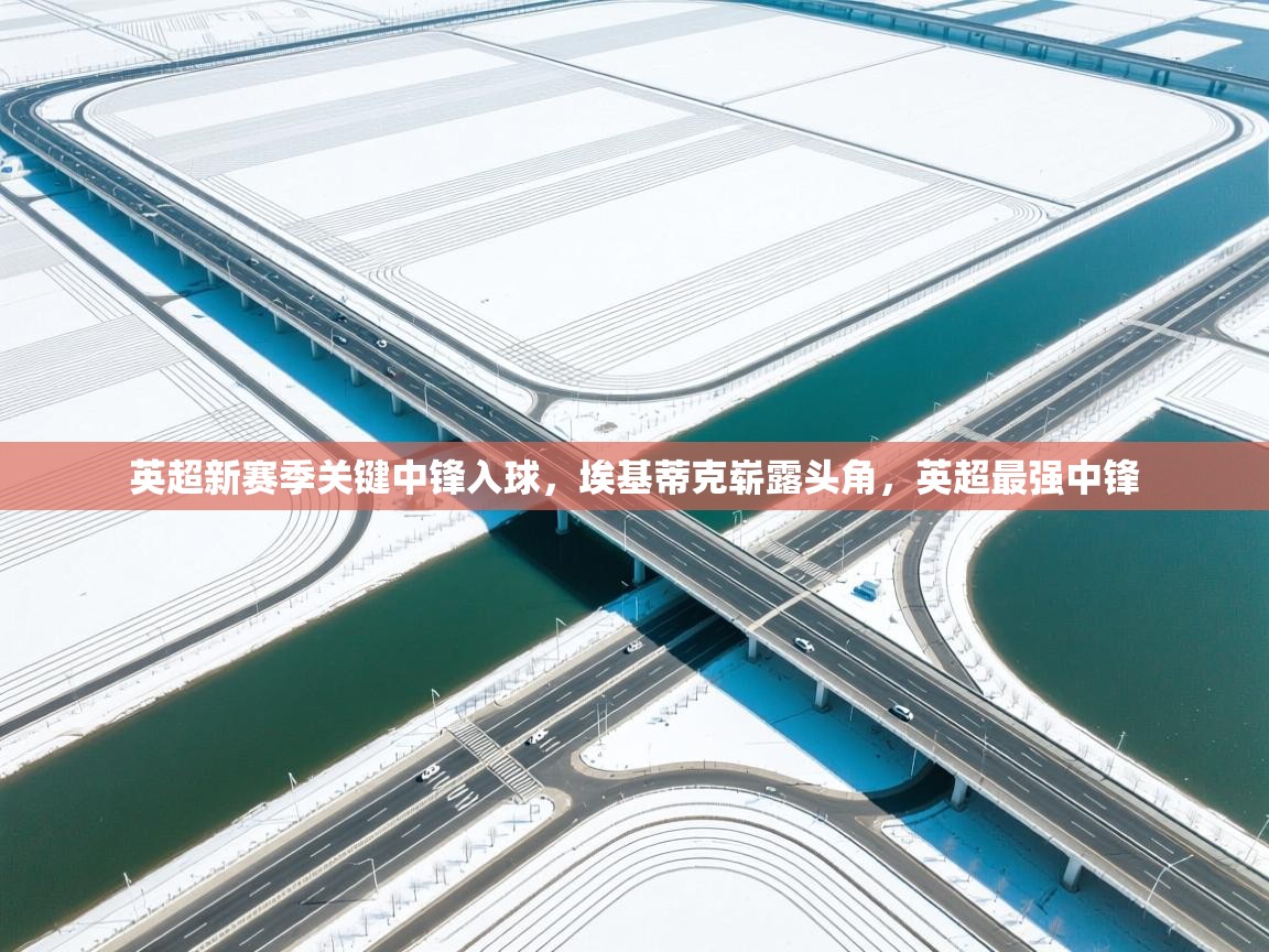 爱游戏体育娱乐赞助意甲-英超新赛季关键中锋入球，埃基蒂克崭露头角，英超最强中锋  第3张