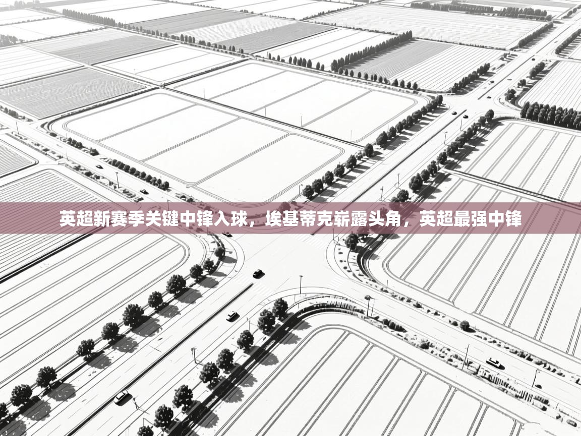 爱游戏体育娱乐赞助意甲-英超新赛季关键中锋入球，埃基蒂克崭露头角，英超最强中锋  第2张