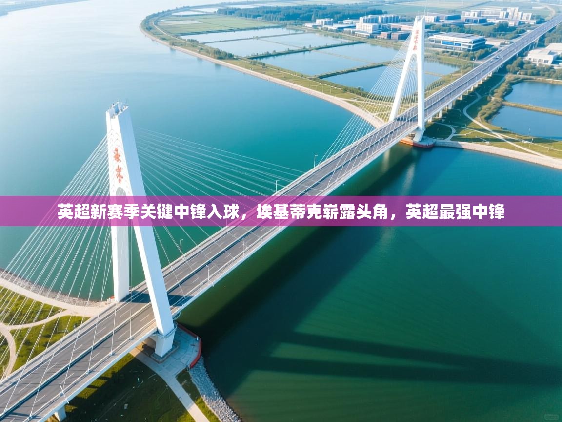 爱游戏体育娱乐赞助意甲-英超新赛季关键中锋入球，埃基蒂克崭露头角，英超最强中锋  第4张