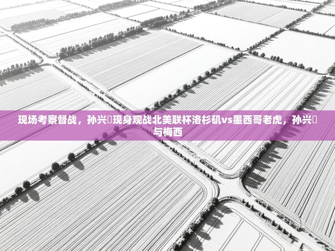 爱游戏真人体育娱乐-现场考察督战，孙兴慜现身观战北美联杯洛杉矶vs墨西哥老虎，孙兴慜与梅西  第1张