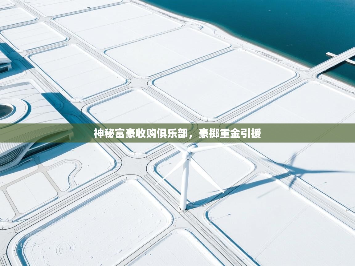 爱游戏下载-神秘富豪收购俱乐部，豪掷重金引援  第1张