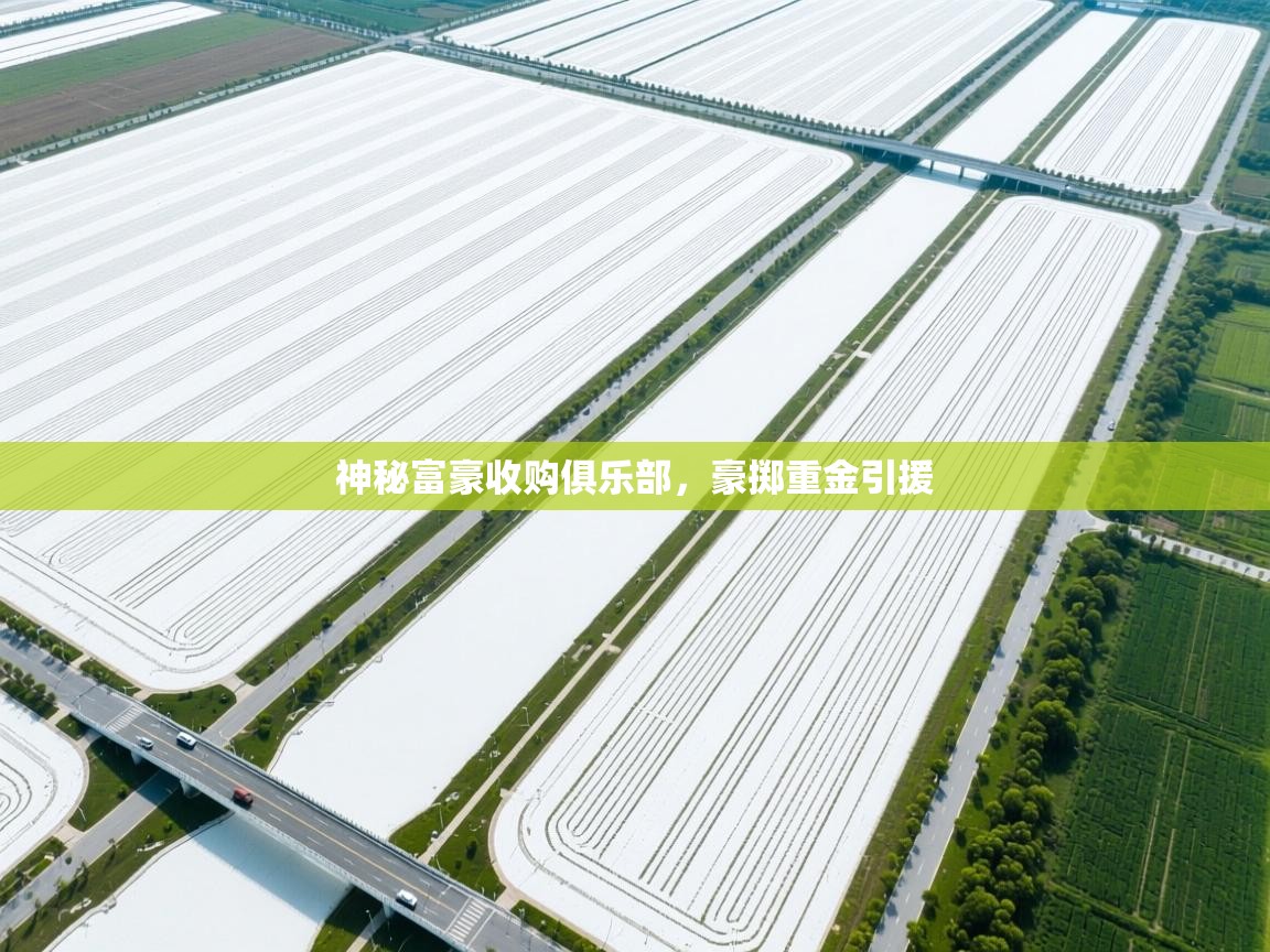 爱游戏下载-神秘富豪收购俱乐部，豪掷重金引援  第2张