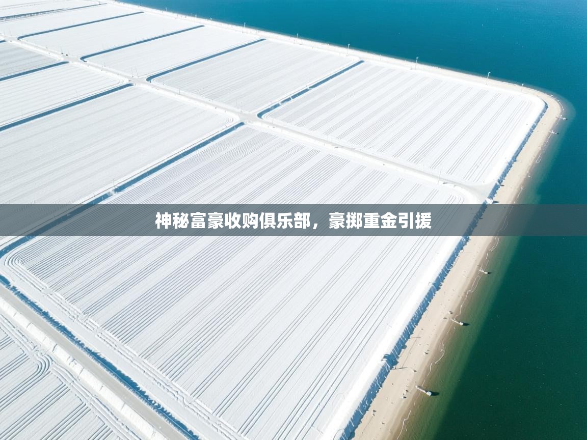 爱游戏下载-神秘富豪收购俱乐部，豪掷重金引援  第3张