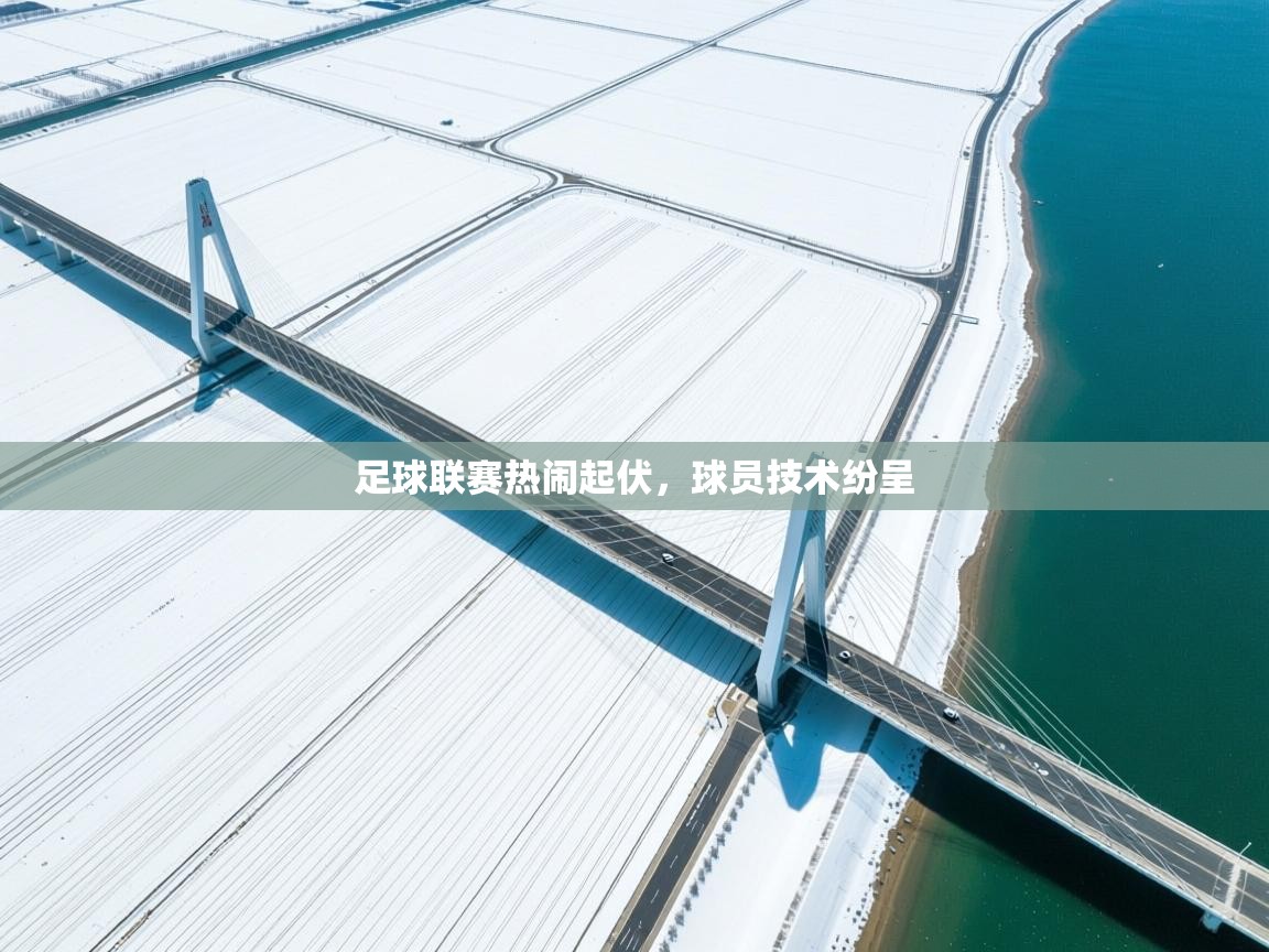 爱游戏体育-足球联赛热闹起伏，球员技术纷呈  第4张