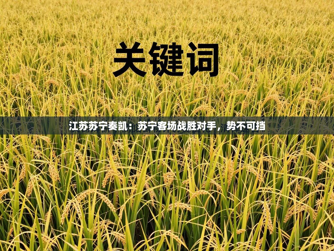 爱游戏体育娱乐赞助意甲-江苏苏宁奏凯:苏宁客场战胜对手,势不可挡 第3张
