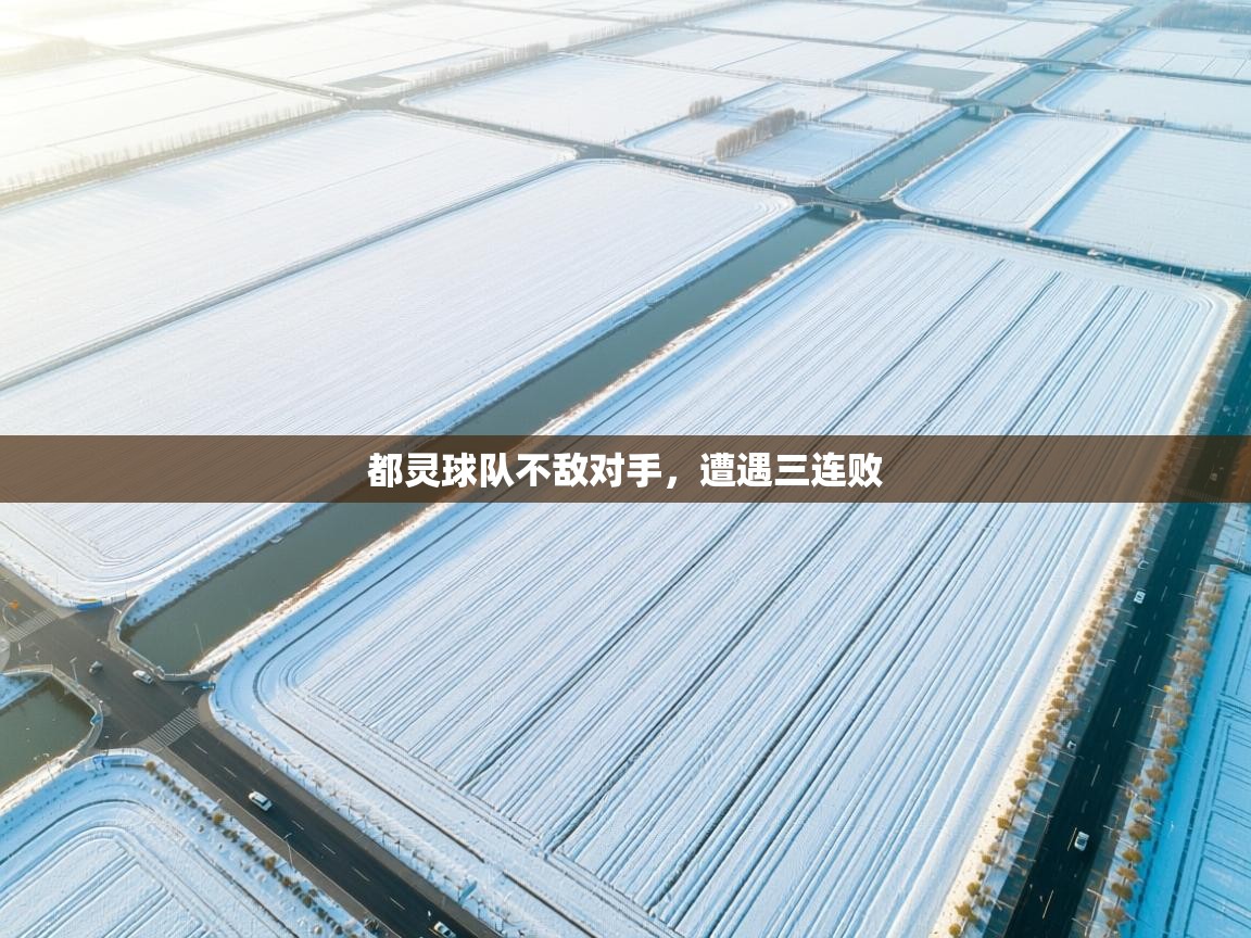 爱游戏体育娱乐-都灵球队不敌对手，遭遇三连败  第3张