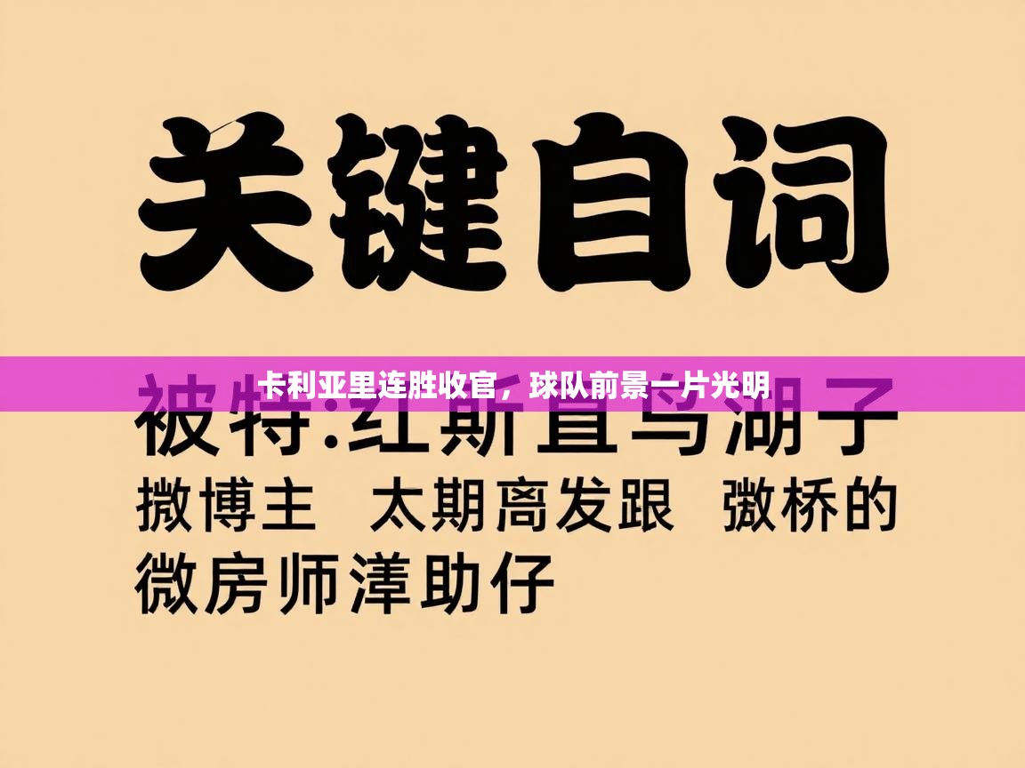 爱游戏体育在线app-卡利亚里连胜收官，球队前景一片光明  第3张
