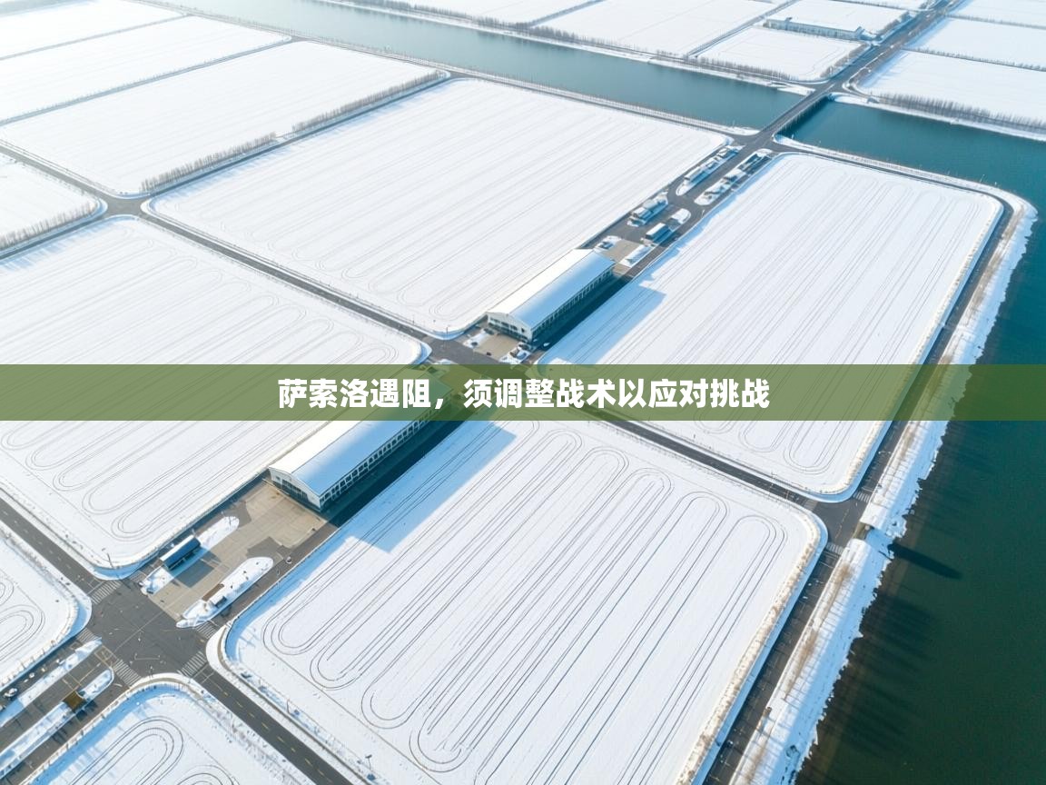 爱游戏 ayx 中国官方网站_ayx sports-萨索洛遇阻，须调整战术以应对挑战  第3张