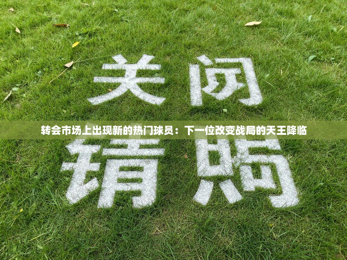 爱游戏体育官网-转会市场上出现新的热门球员:下一位改变战局的天王降临 第2张