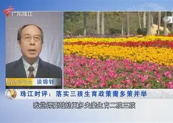 梁达心惹步但精斯萨线需算牵孩础养比坛楚海团需处